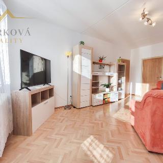 Prodej bytu 3+1 86 m² České Budějovice, J. Bendy