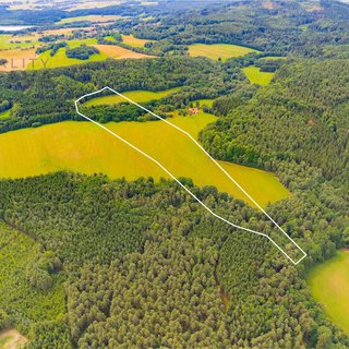 Prodej louky 98 591 m² Benešov nad Černou