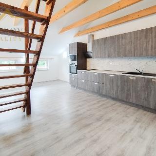 Pronájem bytu 2+kk 62 m² Radošovice