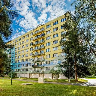 Prodej bytu 2+1 52 m² České Budějovice, Plzeňská