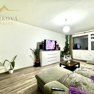 Pronájem bytu 2+1 57 m² Týn nad Vltavou, Malostranská