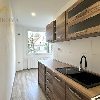 Pronájem bytu 1+1 45 m² Bechyně, Libušina