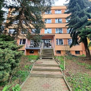 Prodej bytu 1+1 41 m² Bílina, Aléská