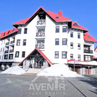 Pronájem bytu 1+kk a garsoniéry 34 m² Harrachov, 