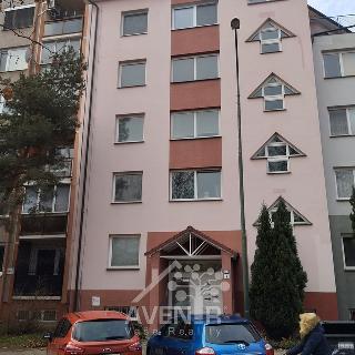 Prodej bytu 2+1 52 m² Hodonín, Šafaříkova