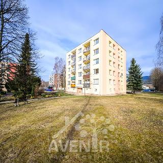 Pronájem bytu 4+kk 71 m² Hejnice, Sídliště