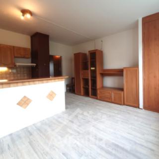 Prodej bytu 1+1 43 m² Železný Brod, Na Vápence