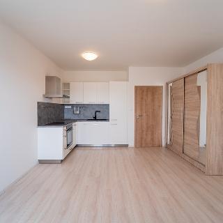 Pronájem bytu 1+kk a garsoniéry 33 m² Beroun, Vinařská