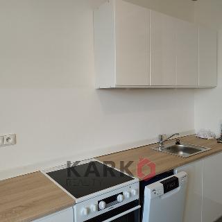 Pronájem bytu 2+1 75 m² Praha, Sokolovská