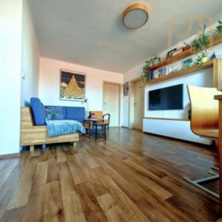 Prodej bytu 3+kk 62 m² České Budějovice