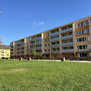 Prodej bytu 2+kk 41 m² Mnichovo Hradiště, Jaselská