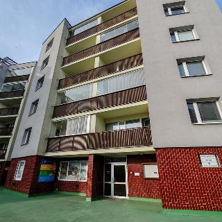 Prodej bytu 2+kk 56 m² Liberec, 