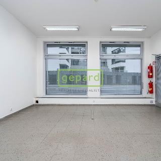 Prodej obchodu 50 m² Praha, Plzeňská