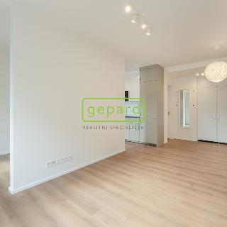 Pronájem bytu 1+kk, garsoniery 34 m² Praha