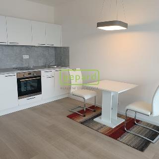 Pronájem bytu 1+kk a garsoniéry 35 m² Praha, Kolbenova