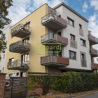 Pronájem bytu 1+kk, garsoniery 31 m² Praha