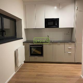 Pronájem bytu 1+kk a garsoniéry 34 m² Praha, Pakoměřická