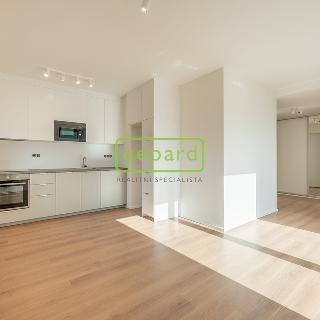 Pronájem bytu 2+kk 42 m² Praha