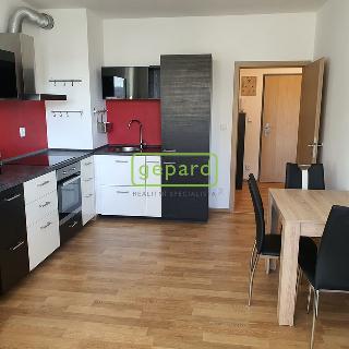 Prodej bytu 2+kk 42 m² Praha, Rychtáře Petříka