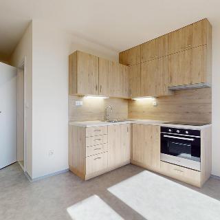 Pronájem bytu 1+1 46 m² Sezimovo Ústí, Průmyslová