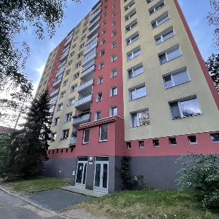 Pronájem bytu 2+kk 40 m² Plzeň, Tachovská