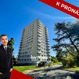 Pronájem bytu 1+kk, garsoniery 25 m² Praha