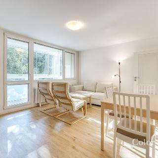 Pronájem bytu 2+kk 50 m² Brno, Ukrajinská