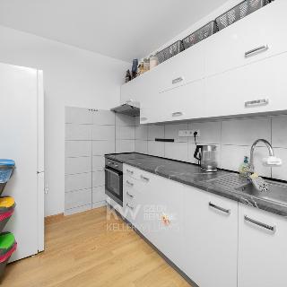 Pronájem bytu 2+1 53 m² Praha, Nad alejí