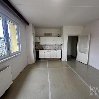 Pronájem bytu 2+kk 42 m² Český Krumlov, 