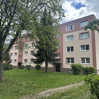 Prodej bytu 2+1 56 m² Bílina, Sídliště U Nového nádraží