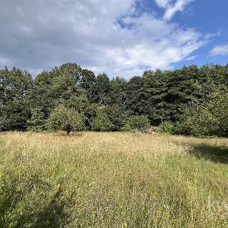 Prodej stavební parcely 1505 m² Ratibořské Hory