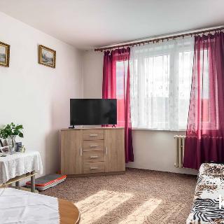 Prodej bytu 1+1 35 m² Karlovy Vary, Sokolovská