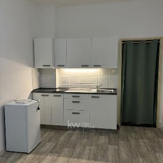 Pronájem bytu 1+kk a garsoniéry 24 m² Praha, Petra Rezka