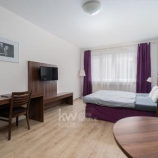 Pronájem bytu 1+kk a garsoniéry 32 m² Praha Vysočany, Freyova