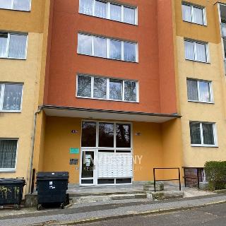 Pronájem bytu 1+kk a garsoniéry 22 m² Teplice, Českobratrská