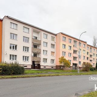 Pronájem bytu 3+1 77 m² Sokolov