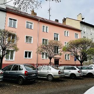 Pronájem bytu 2+1 65 m² Louny, Štefánikova