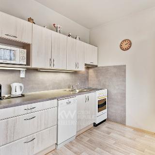 Pronájem bytu 3+1 72 m² Liberec, Sametová