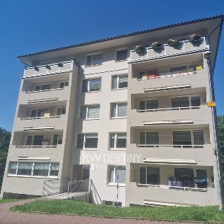 Pronájem bytu 2+1 51 m² Dubí, K. Světlé