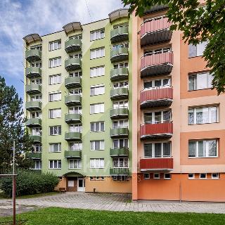 Prodej bytu 3+1 63 m² Jindřichův Hradec, sídliště Vajgar