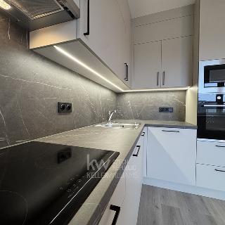 Pronájem bytu 1+kk a garsoniéry 30 m² Kladno, Štěpána Rautenstraucha