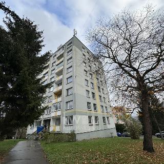 Prodej bytu 2+1 50 m² Děčín, Krásnostudenecká