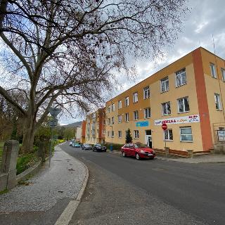 Pronájem bytu 1+kk a garsoniéry 22 m² Teplice, Českobratrská