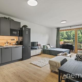 Pronájem bytu 1+kk a garsoniéry 37 m² Slaný, Lázeňská