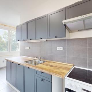 Pronájem bytu 1+1 42 m² Bechyně, Libušina