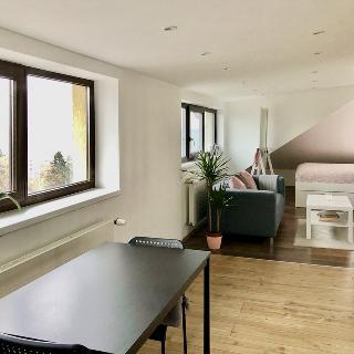 Pronájem bytu 1+kk a garsoniéry 48 m² Praha, Šárecká