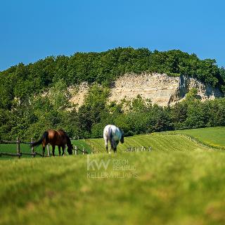 Prodej stavební parcely 31 645 m² Obora, 