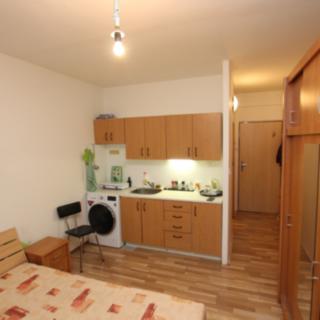 Pronájem bytu 1+kk, garsoniery 20 m² Tábor