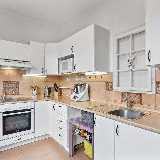 Prodej bytu 2+1 51 m² Česká Lípa, Bendlova