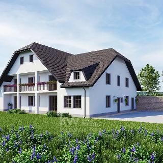 Prodej rodinného domu 578 m² Přední Výtoň, Frýdava